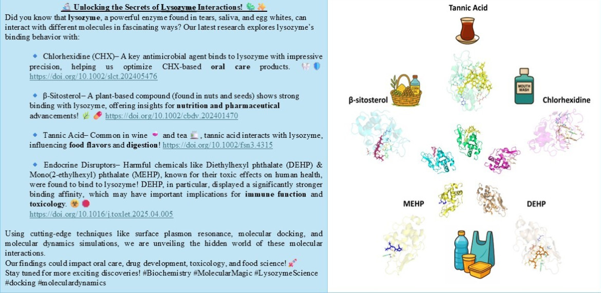 lysozyme-final_1747745845.jpg (183 KB)